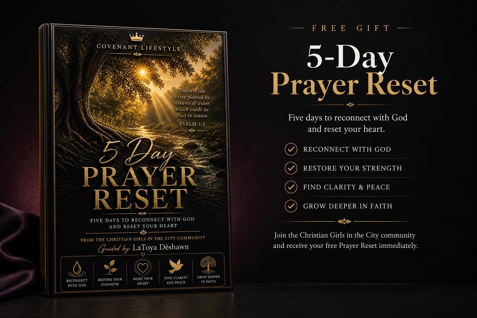 The original 5-Day Prayer Reset book cover and introduction
